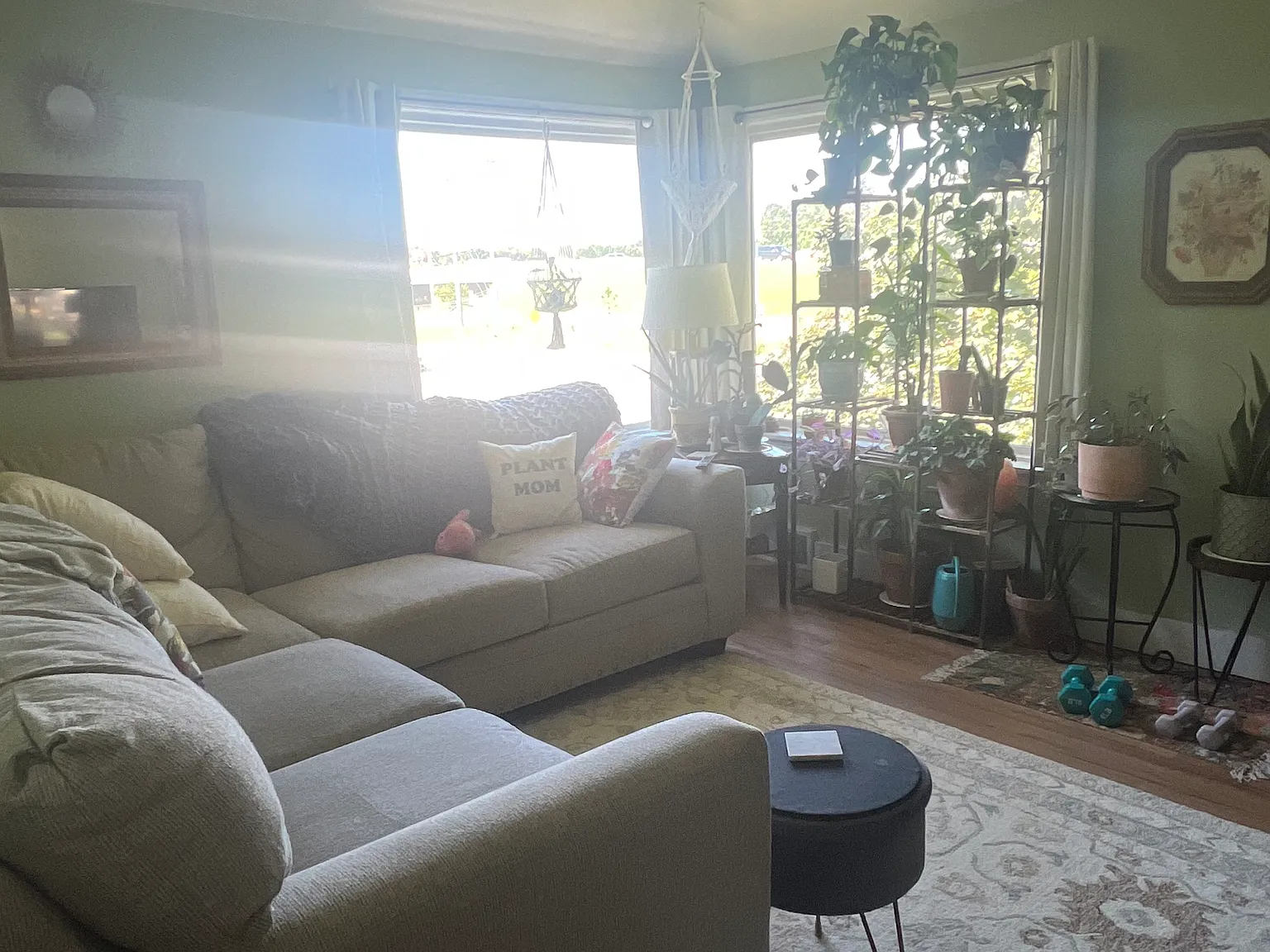 1 bed, 700 sqft, $875 — Photo 3
