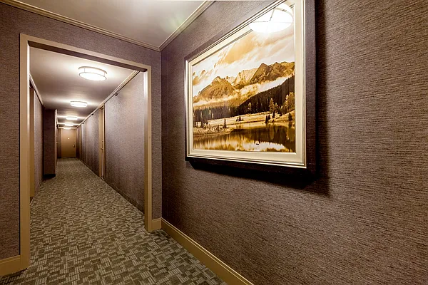 Rented by Mirador Real Estate | media 14