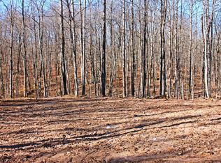 W2352 Eagle Nest Rd, Sarona, WI 54870