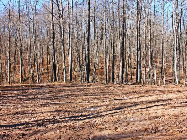 W2352 Eagle Nest Rd, Sarona, WI 54870