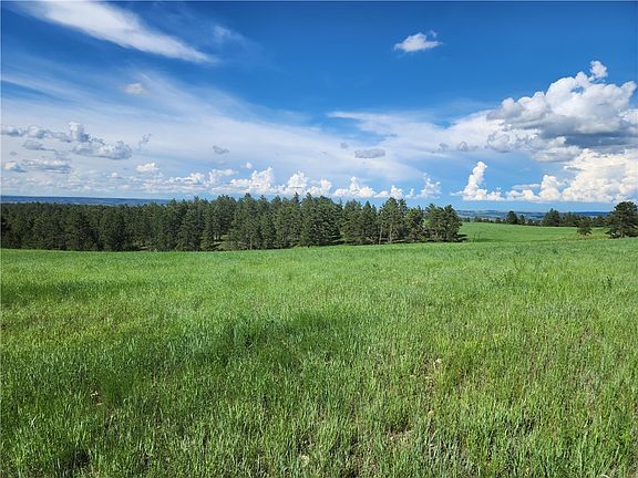 5th image of 6 Shane Ridge Rd