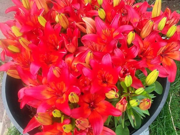 6072 Sunshine Drive, Ferndale, WA 98248