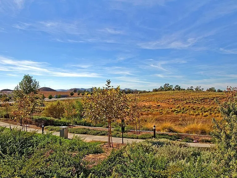 35186 Ladybug Ln — Photo 48
