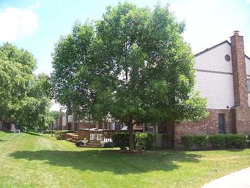 5th image of 23W454 Pinehurst Ln