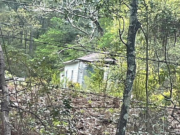 4th image of 0 County Road 232