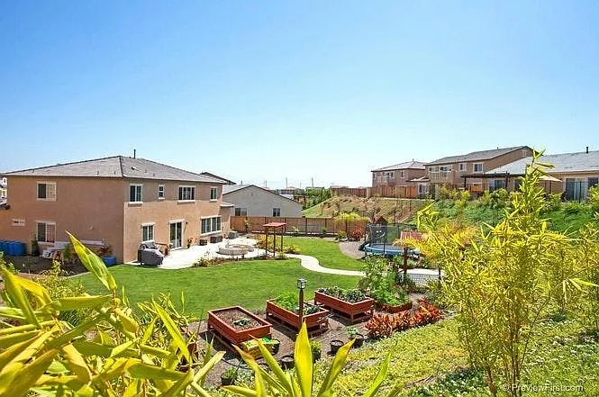 Back yard