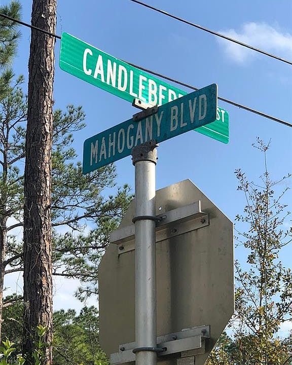 1st image of 1872 CANDLEBERRY STREET LOT 18