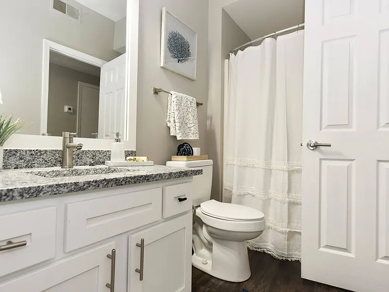 Bathroom + Granite Counters