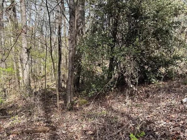 LOT 3 Mountain Top Dr, Gadsden, AL 35907