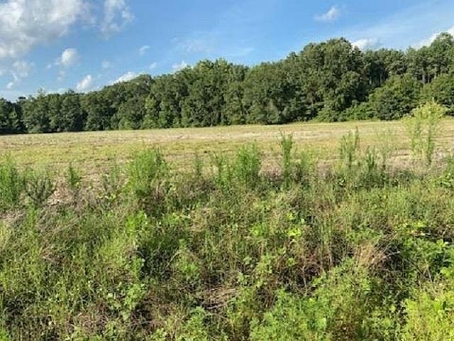 2nd image of 199 Buckshot Rd