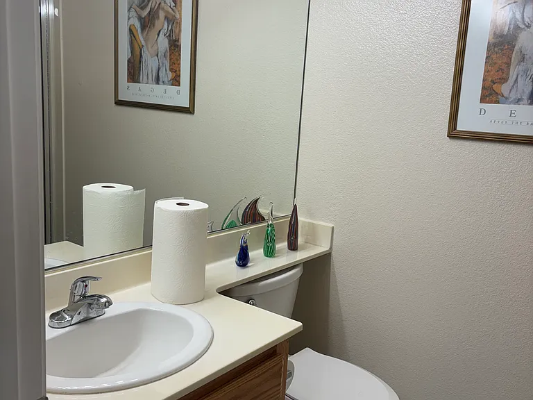 Renter private bathroom