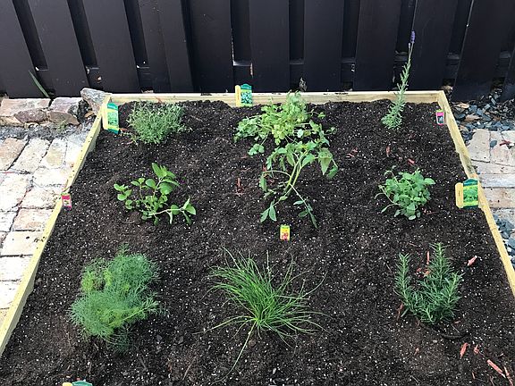 Planter 1