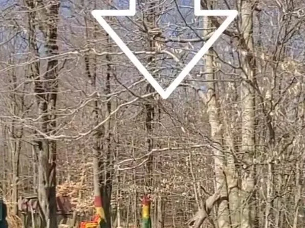 6152 Pleasant Ln, Tobyhanna, PA 18466