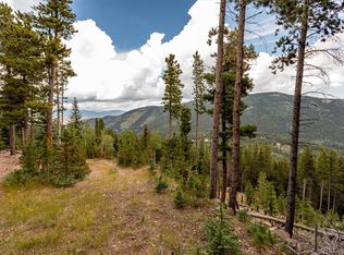 400 Long Rd, Idaho Springs, CO 80452