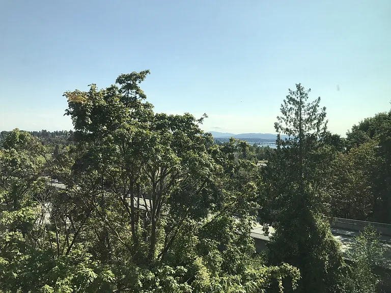 Bayview Apartments — Photo 72