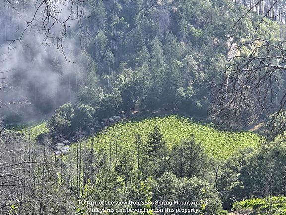 2nd image of 3880 Spring Mountain Road