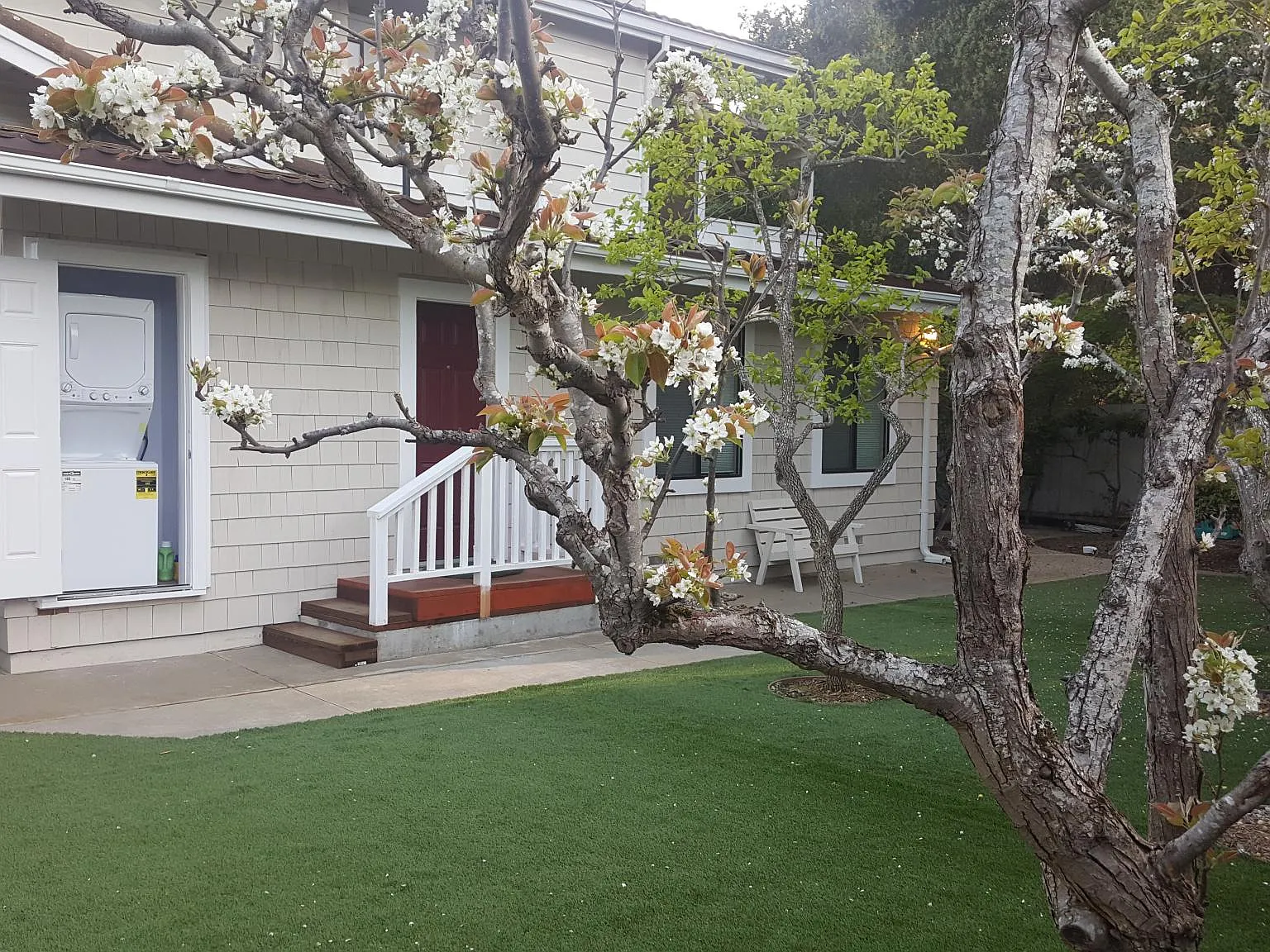 Studio, 300 sqft, $3,000 — Photo 1
