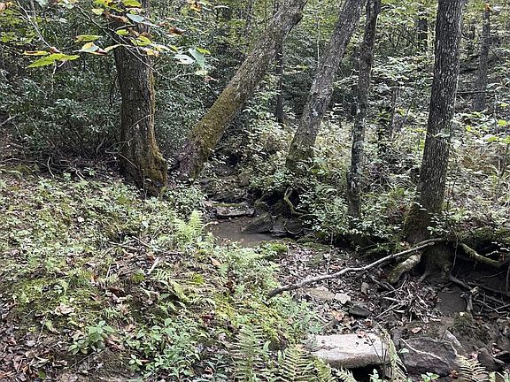2nd image of Off Buckridge Road Acres #30.5