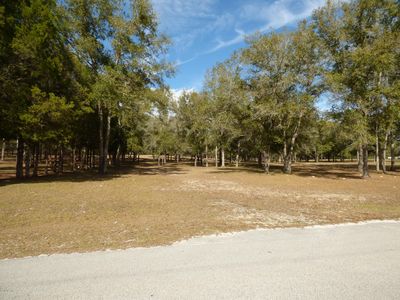 000 NE 138 Ln, Newberry, FL, 32669
