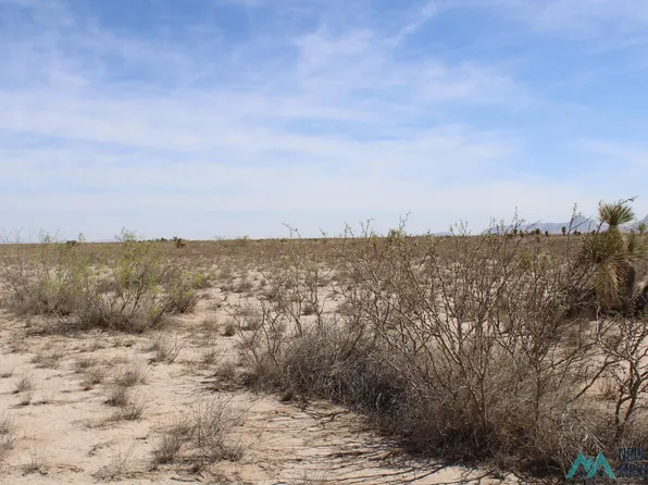 Copa De Oro Lot 43, Deming, NM 88030