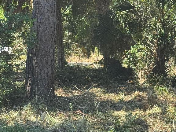 5th image of 609 Jungle Rd
