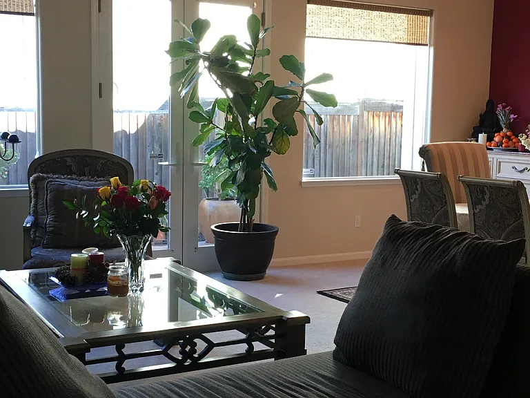 7668 Galloway Ct — Photo 24