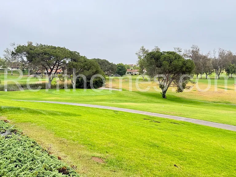 12817 Camino Emparrado — Photo 30