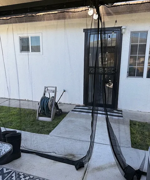 Back yard