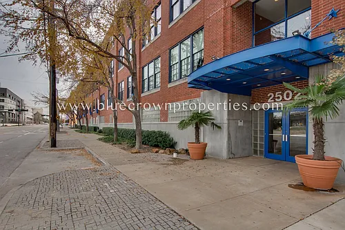 2502 Live Oak St #336 Photo 1