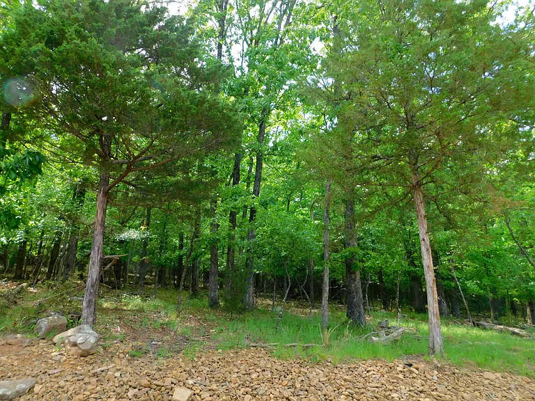 265 S Rolling Woods Way — Photo 14