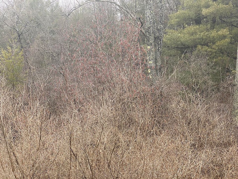 2nd image of 0 E Us Highway 10