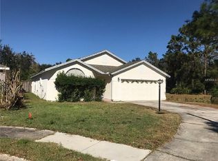 13117 Saucon Valley Ct, Orlando, FL 32828