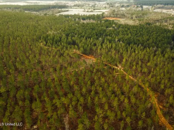 SW 0 Arlington Dr, Bogue Chitto, MS 39629