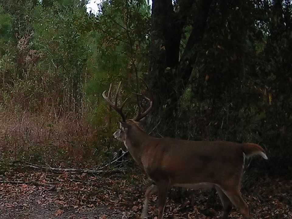 1st image of 0 Cumbie Rd