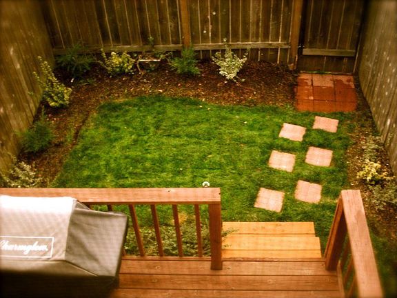 back yard