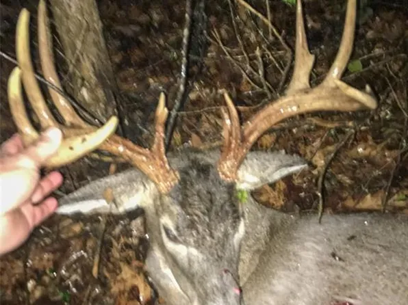 0 Diamond School Rd, Grubville, MO 63041