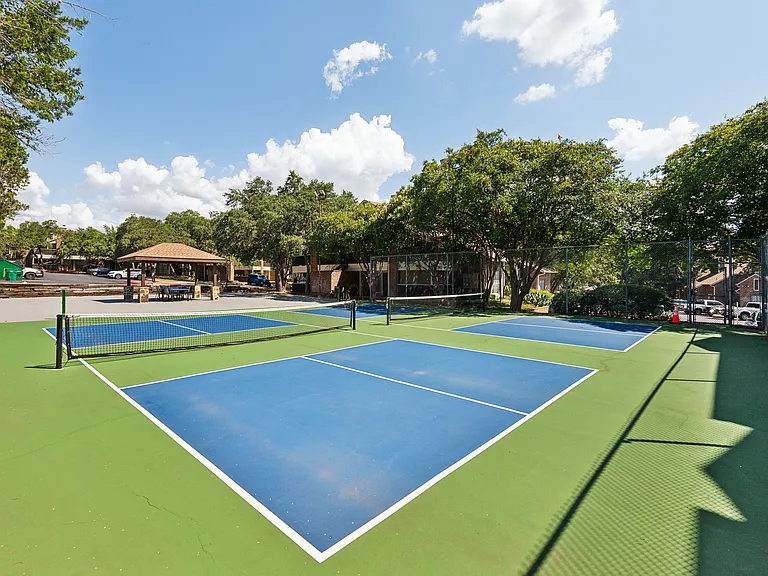 Pickleball Court