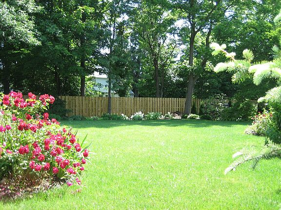 Late spring - backyard