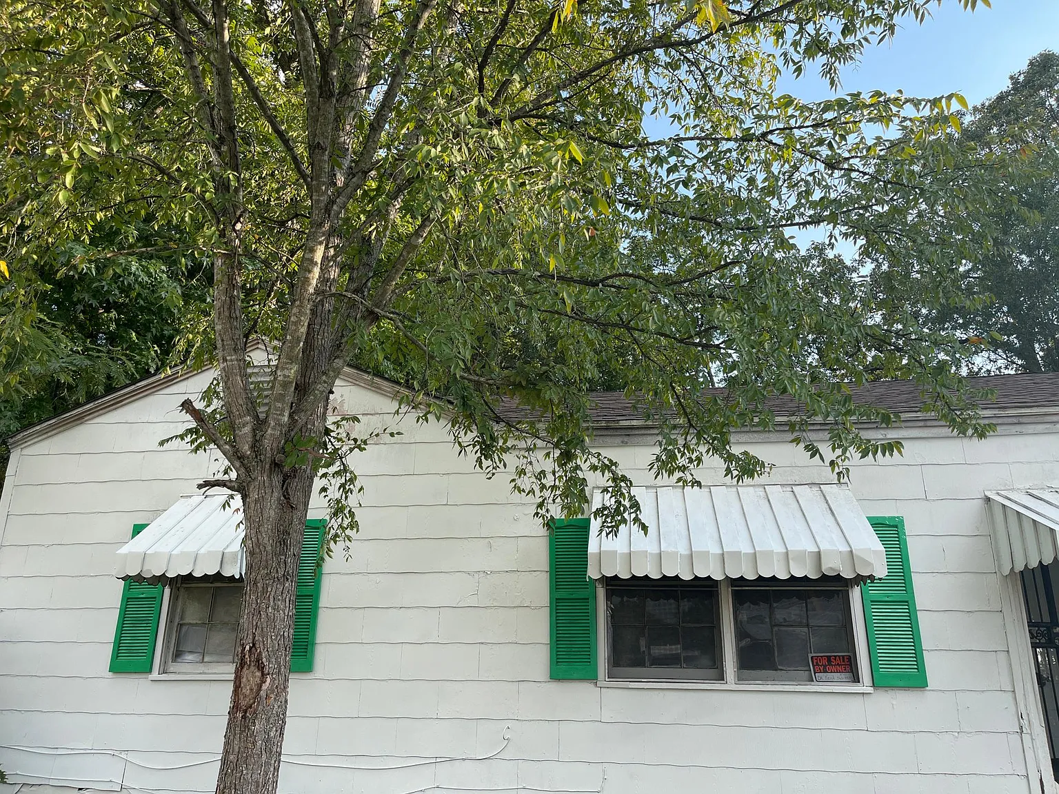 3 bed, 1381 sqft, $1,000 — Photo 2