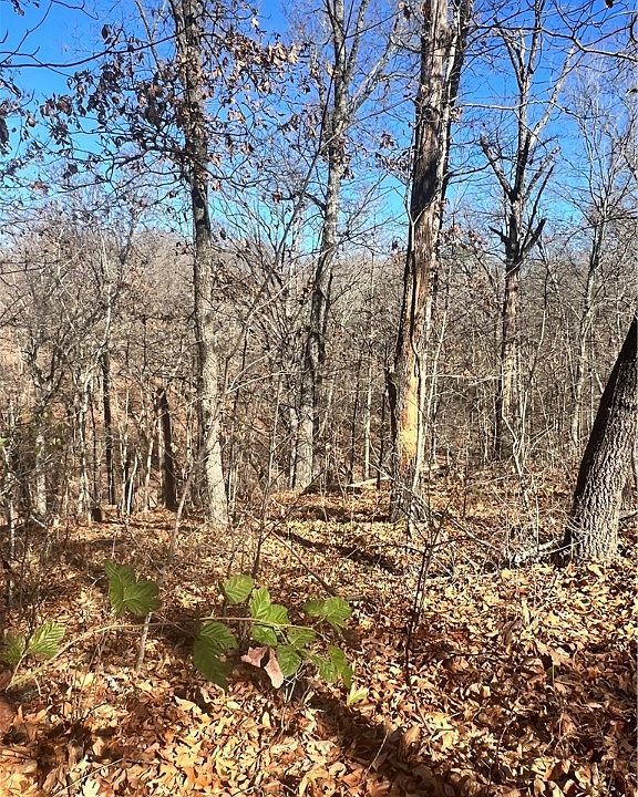 2nd image of Dunholme Dr #18