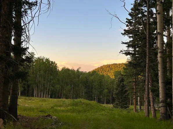 168 Mertz Place Lot 65, Black Lake, NM 87710