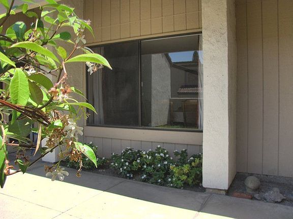 Front Living Room Window