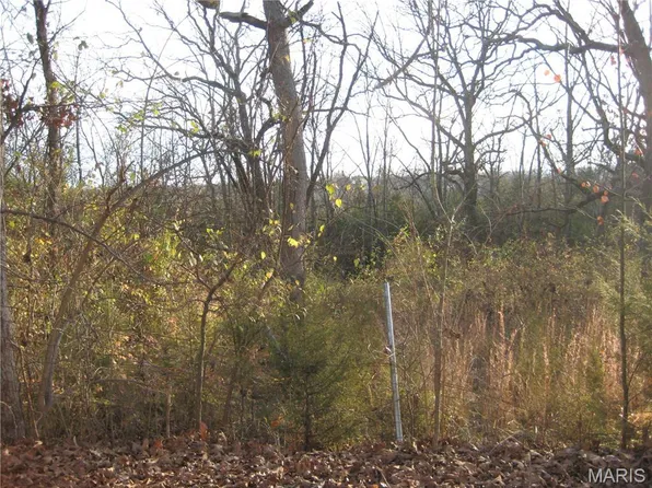 4 Easton St, De Soto, MO 63020