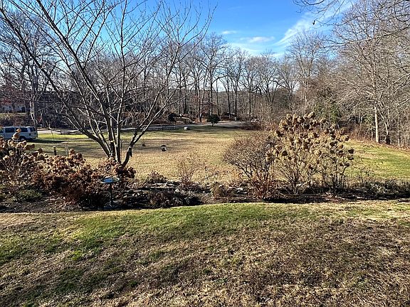 View from front windows