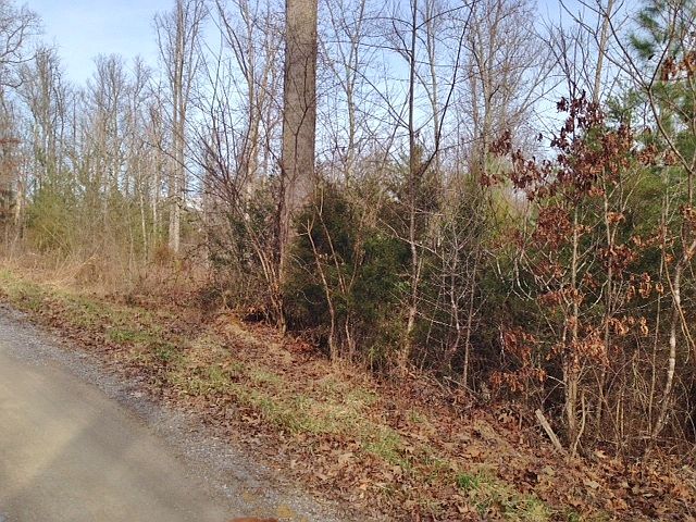 2nd image of 0 4 Star Point Rd.