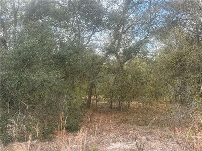 tbd SE 131ST TERRACE LOT 3, Dunnellon, FL, 34431