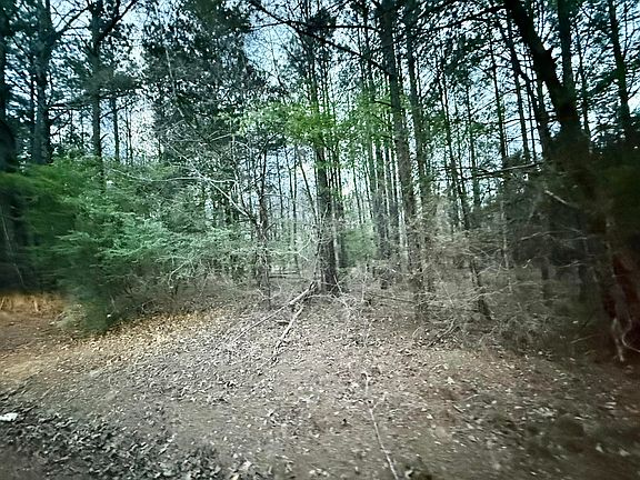 3rd image of Little Coontail Rd