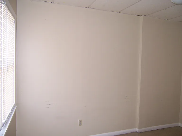 46 Lafayette Ave #1 — Photo 38