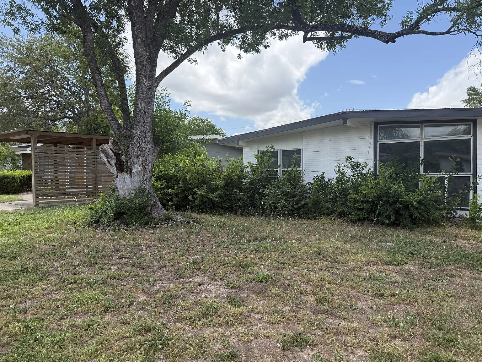 4 bed, 1256 sqft, $1,750 — Photo 2