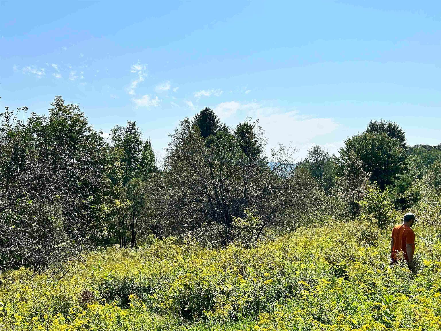 0 Collins Hill Road, Johnson, VT 05656 MLS 4970195 Zillow